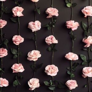 Meet your Posher, Maha